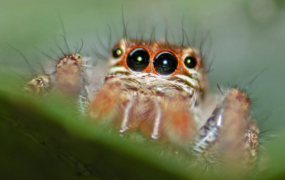 Photograph by Yogesh Puranik