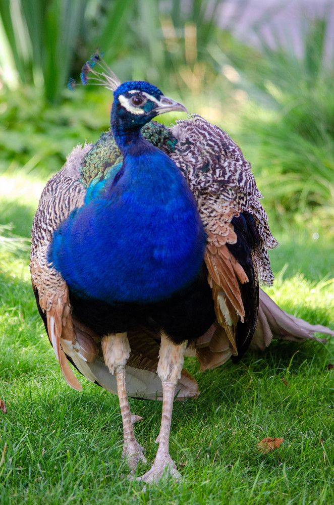 Photograph by Ирина Бандалет