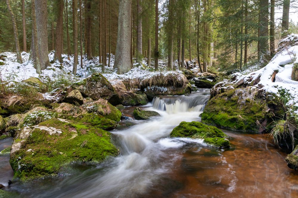 Photograph by Евгения Чех