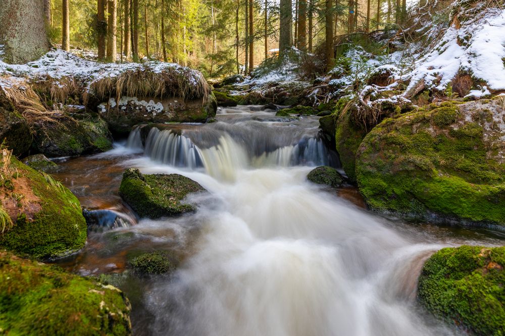 Photograph by Евгения Чех