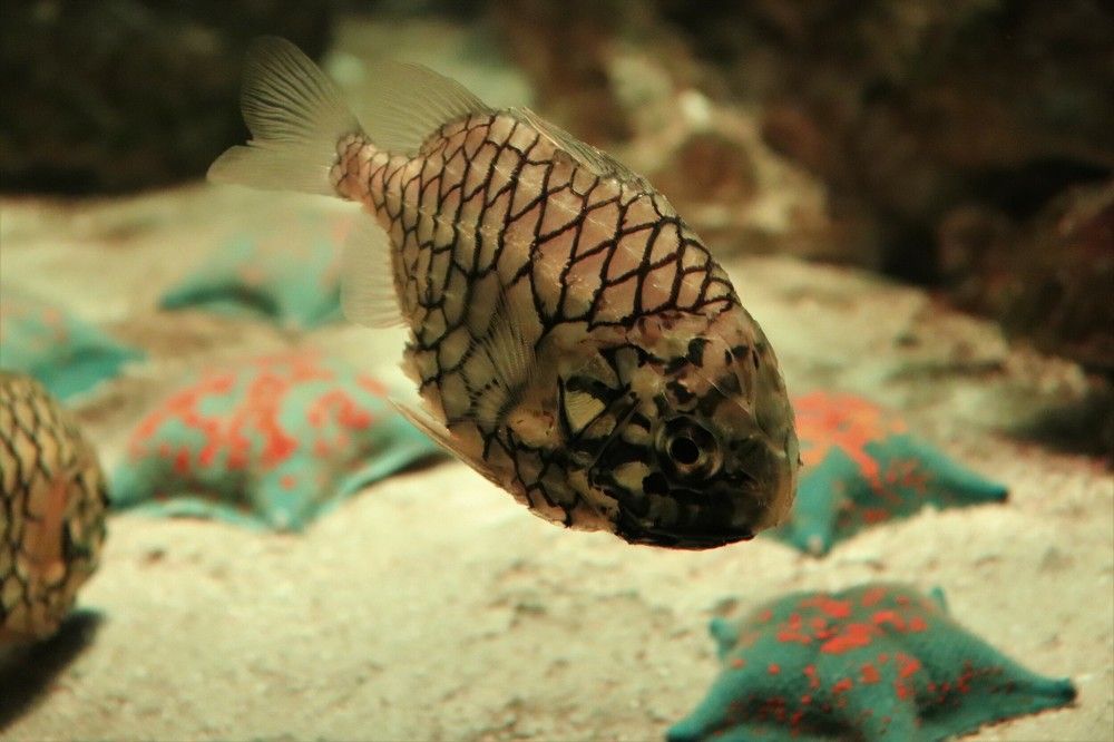 Photograph by Цыганова Анна