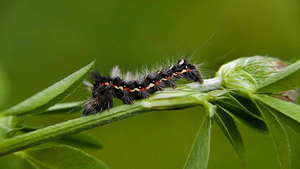 Photograph by Алексей Чернов