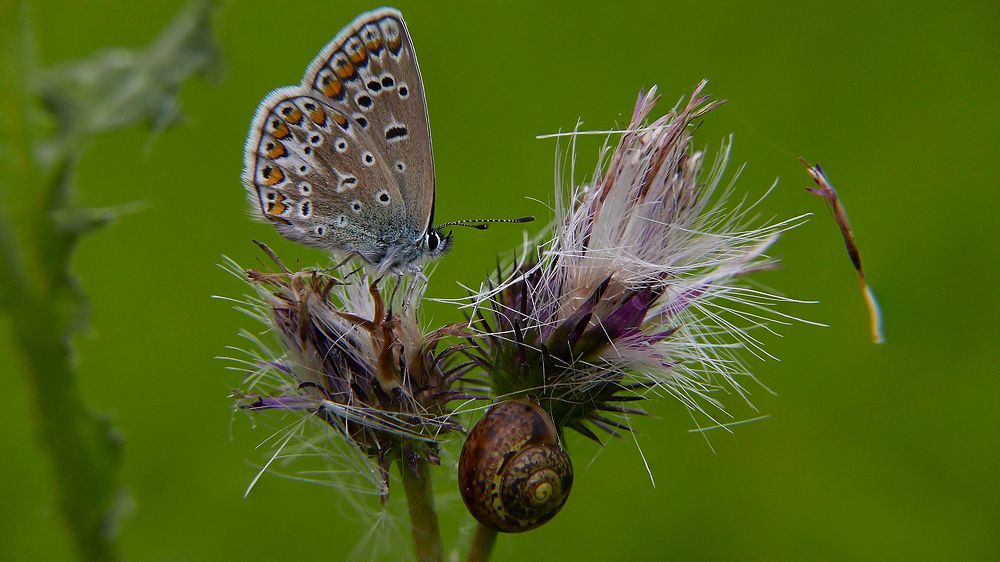 Photograph by Алексей Чернов