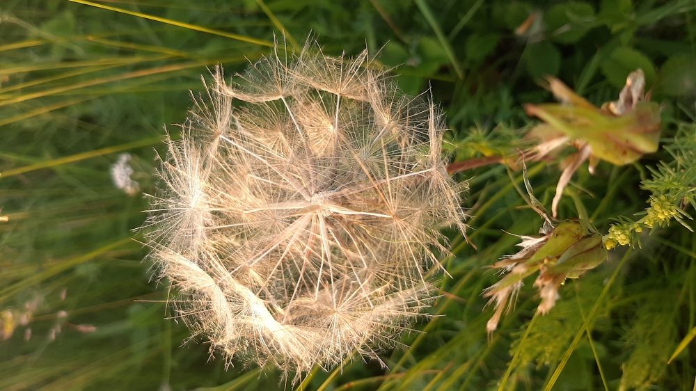 Photograph by Лилия Рыжанкова