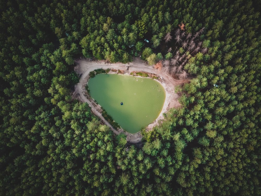 Photograph by Виталий Попов