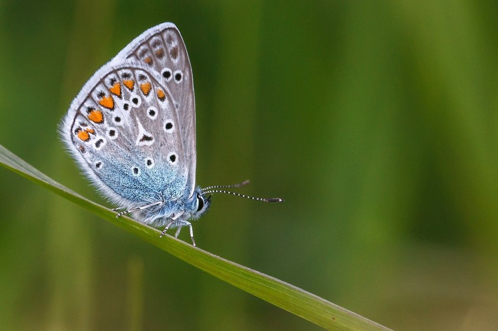 Фотография автора Владимир Салапонов