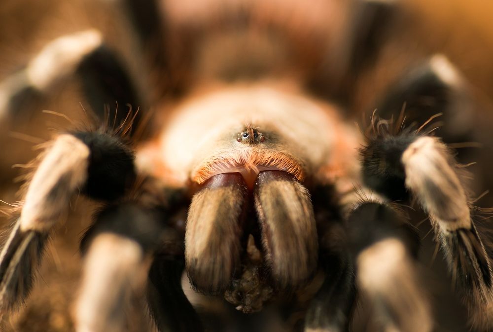 Photograph by Владимир Салапонов