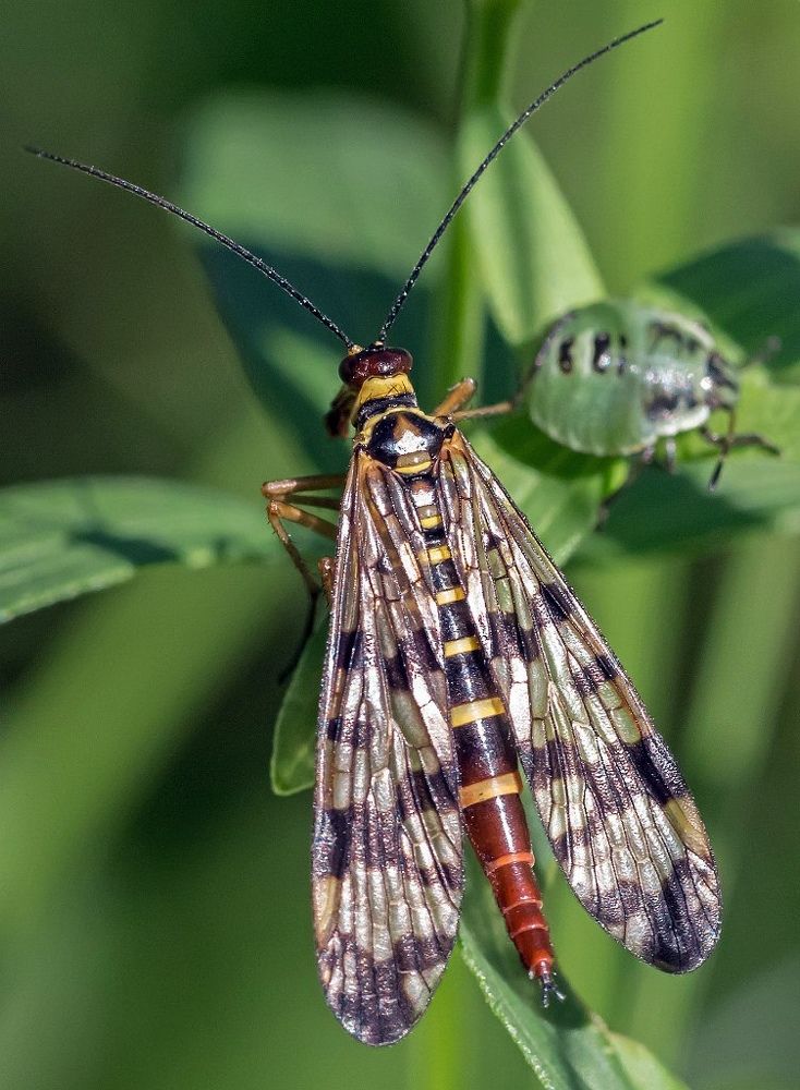 Photograph by Владимир Салапонов