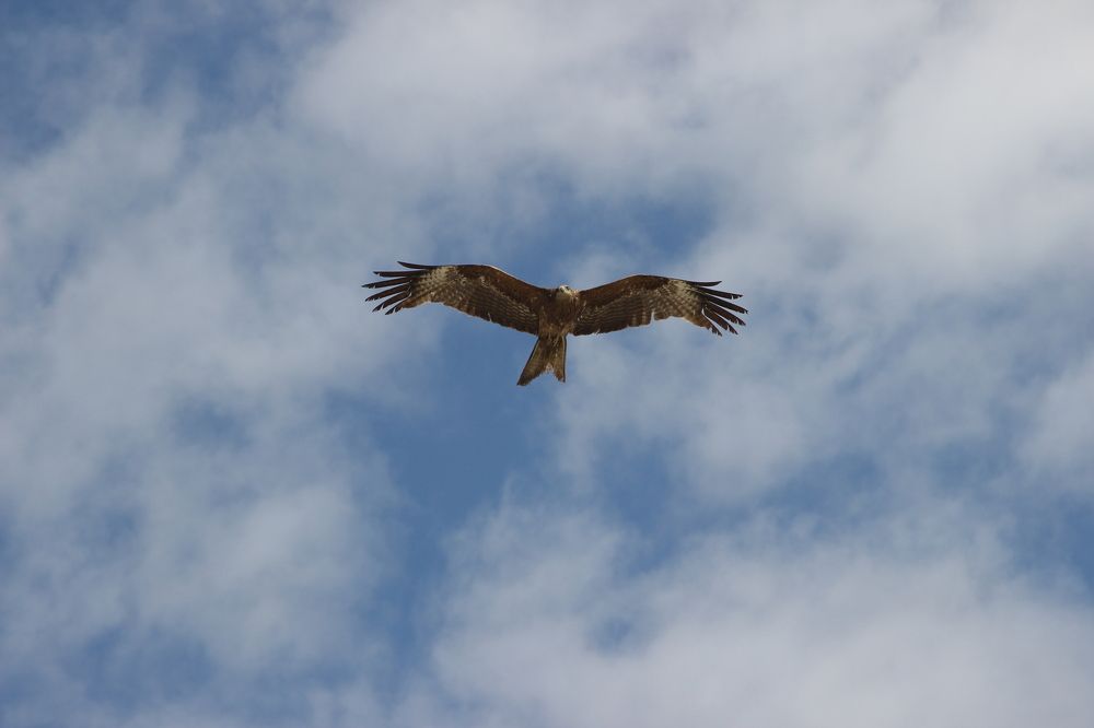 Photograph by Анна Чадова