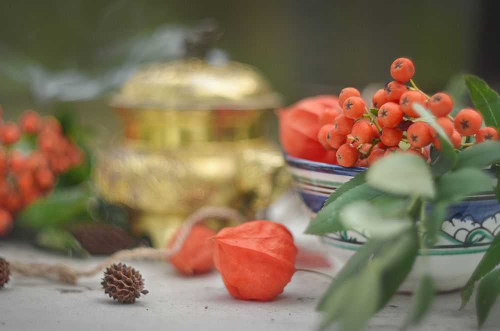 Photograph by Светлана Болотнова