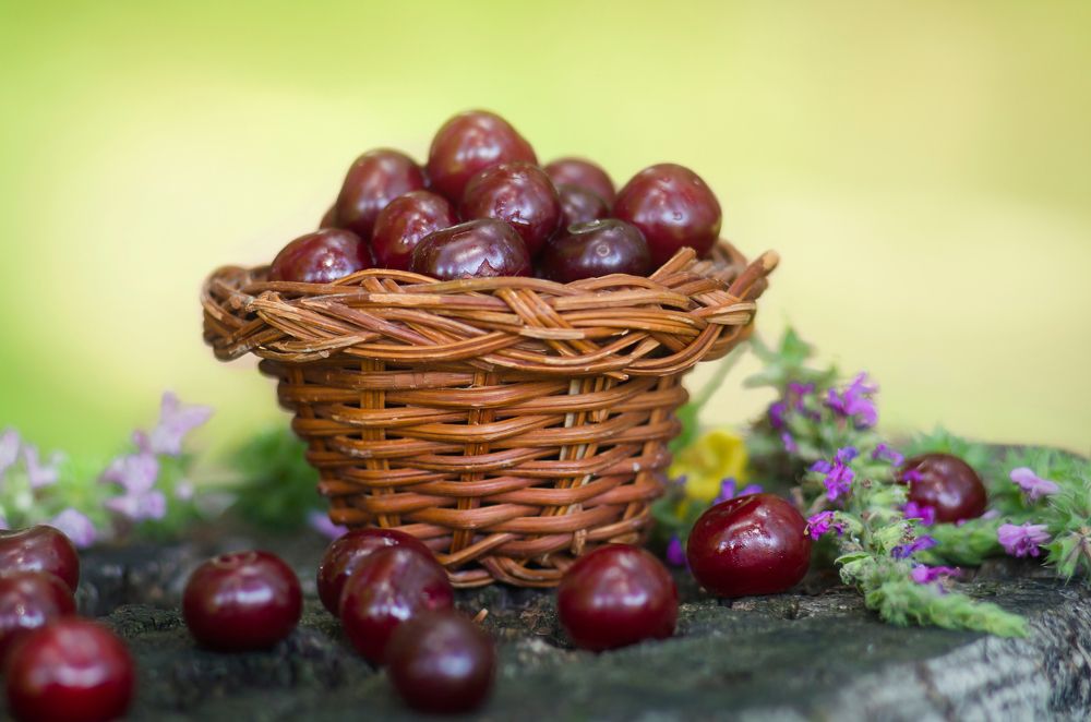 Photograph by Светлана Болотнова