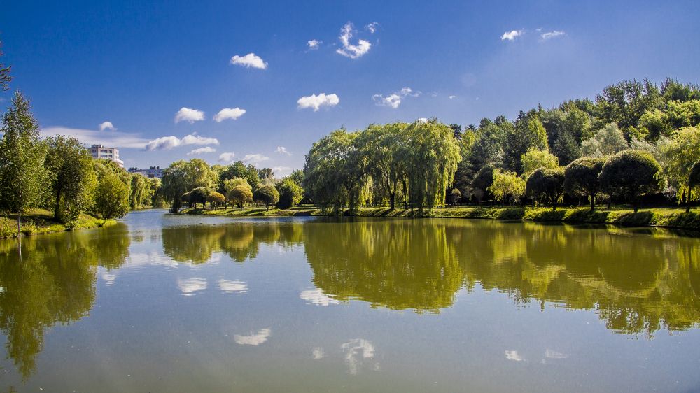 Утро на Слепянской водной системе - 8