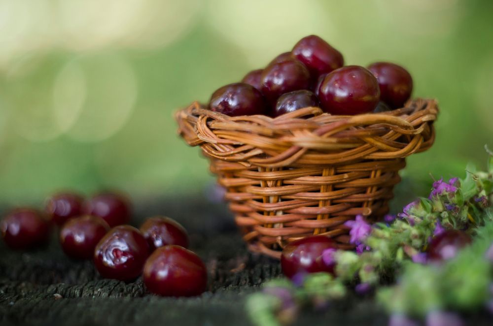 Photograph by Светлана Болотнова