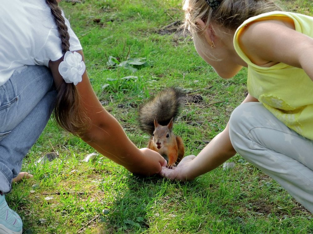 Угощайся, рыжая...