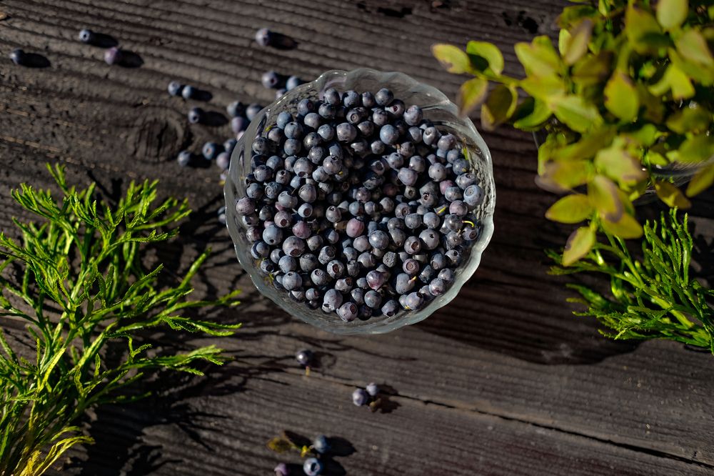 Photograph by Екатерина Морозова