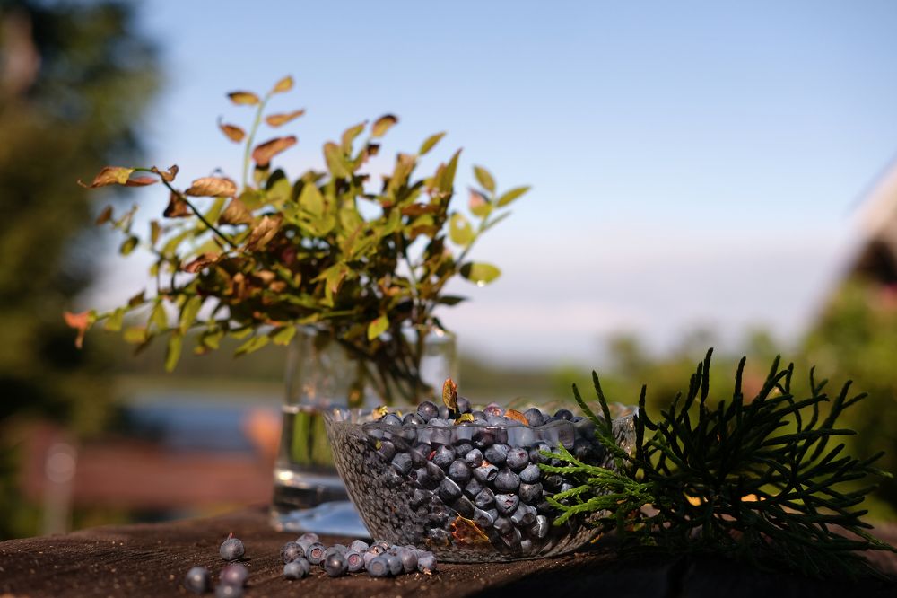 Photograph by Екатерина Морозова