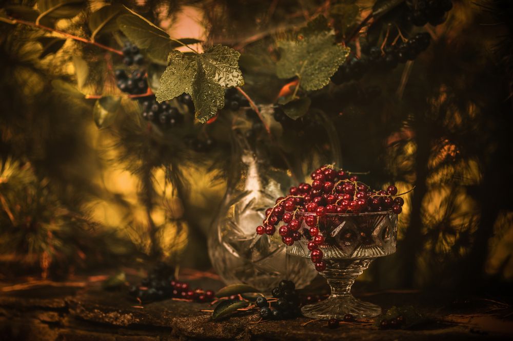 Photograph by Евгений Козлов