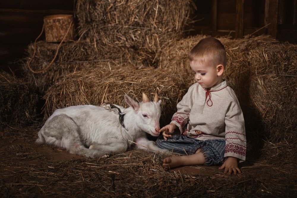 Photograph by Татьяна Муравкина