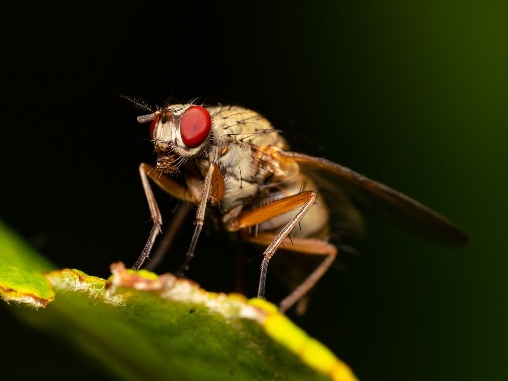 Photograph by Денис Дроздов