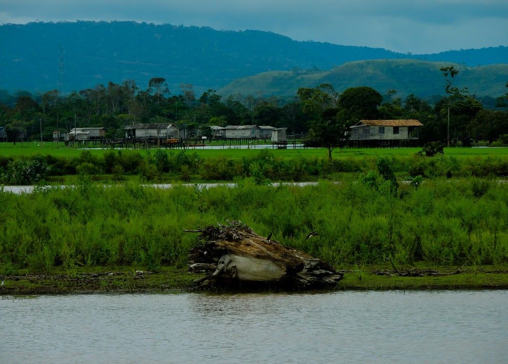 Photograph by Patrícia Helena