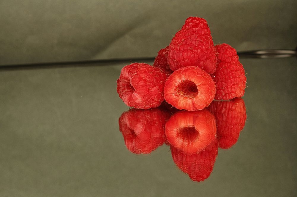 Photograph by António Manuel de Pereira