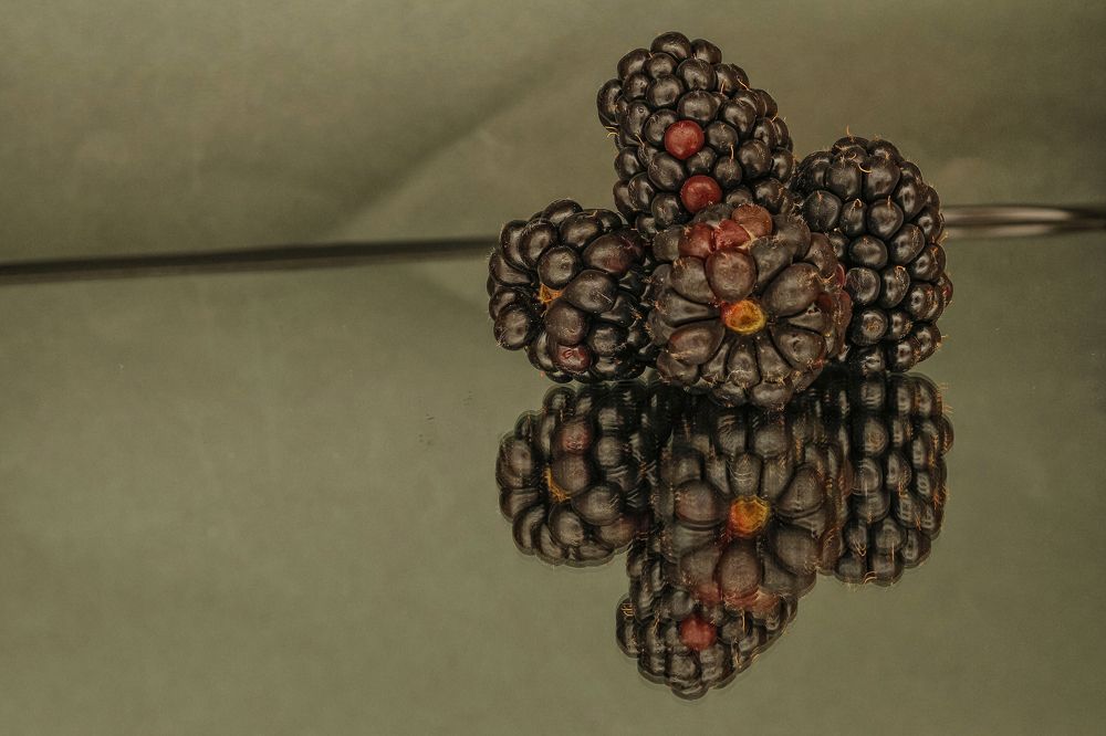 Photograph by António Manuel de Pereira