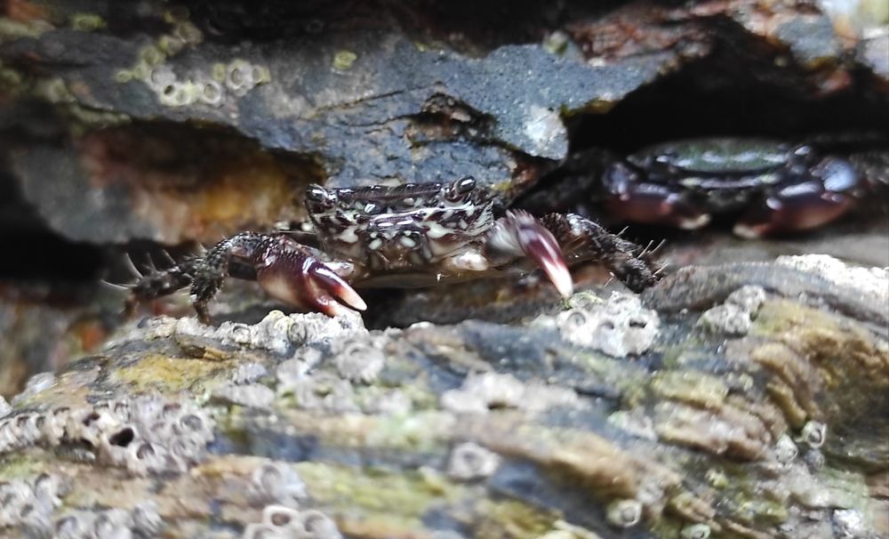 Photograph by Miguel Angel