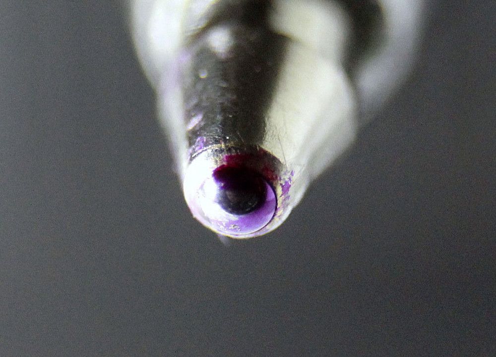 Photograph by Наталья Булаева