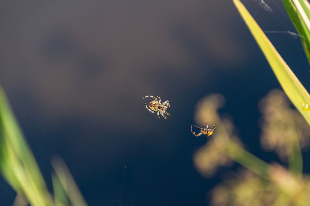 Photograph by Алексей