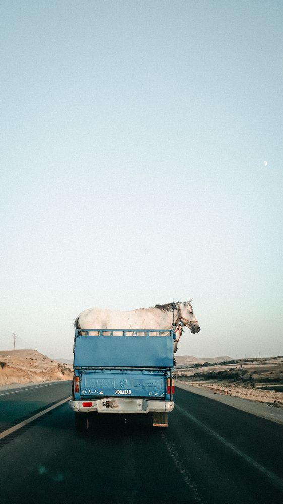 Photo #6413118
