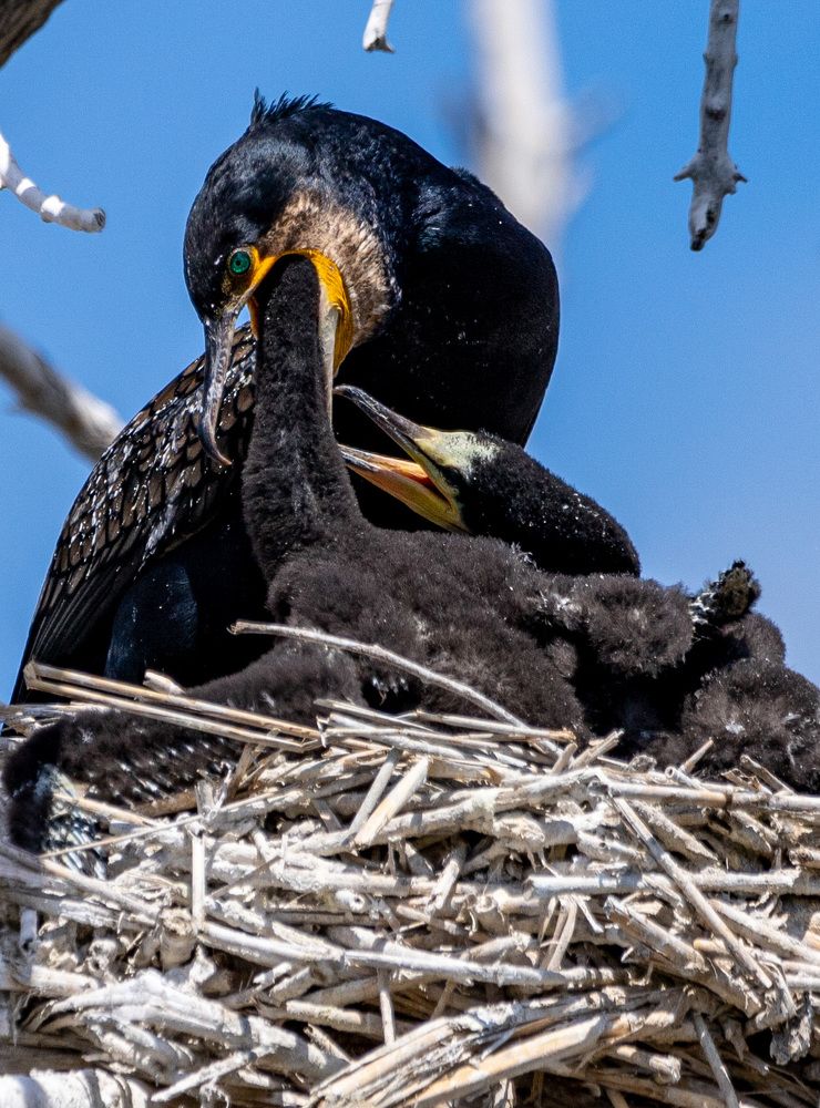 Photograph by Яна Толмачёва