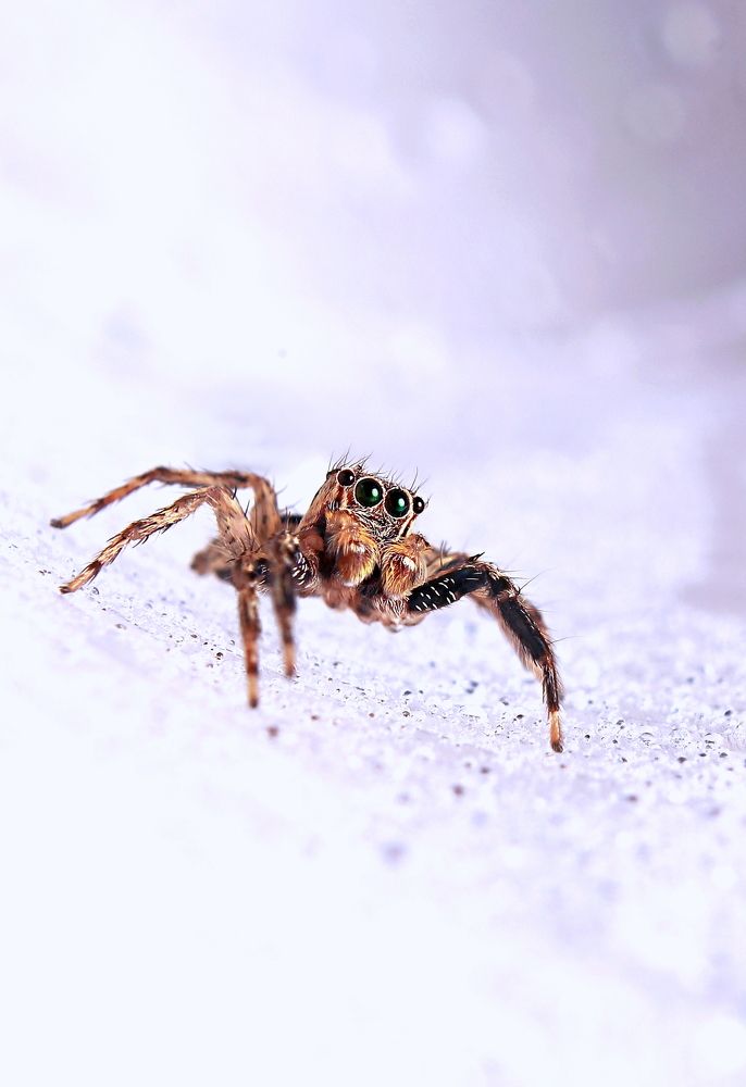 Photograph by Yusuf Buchari