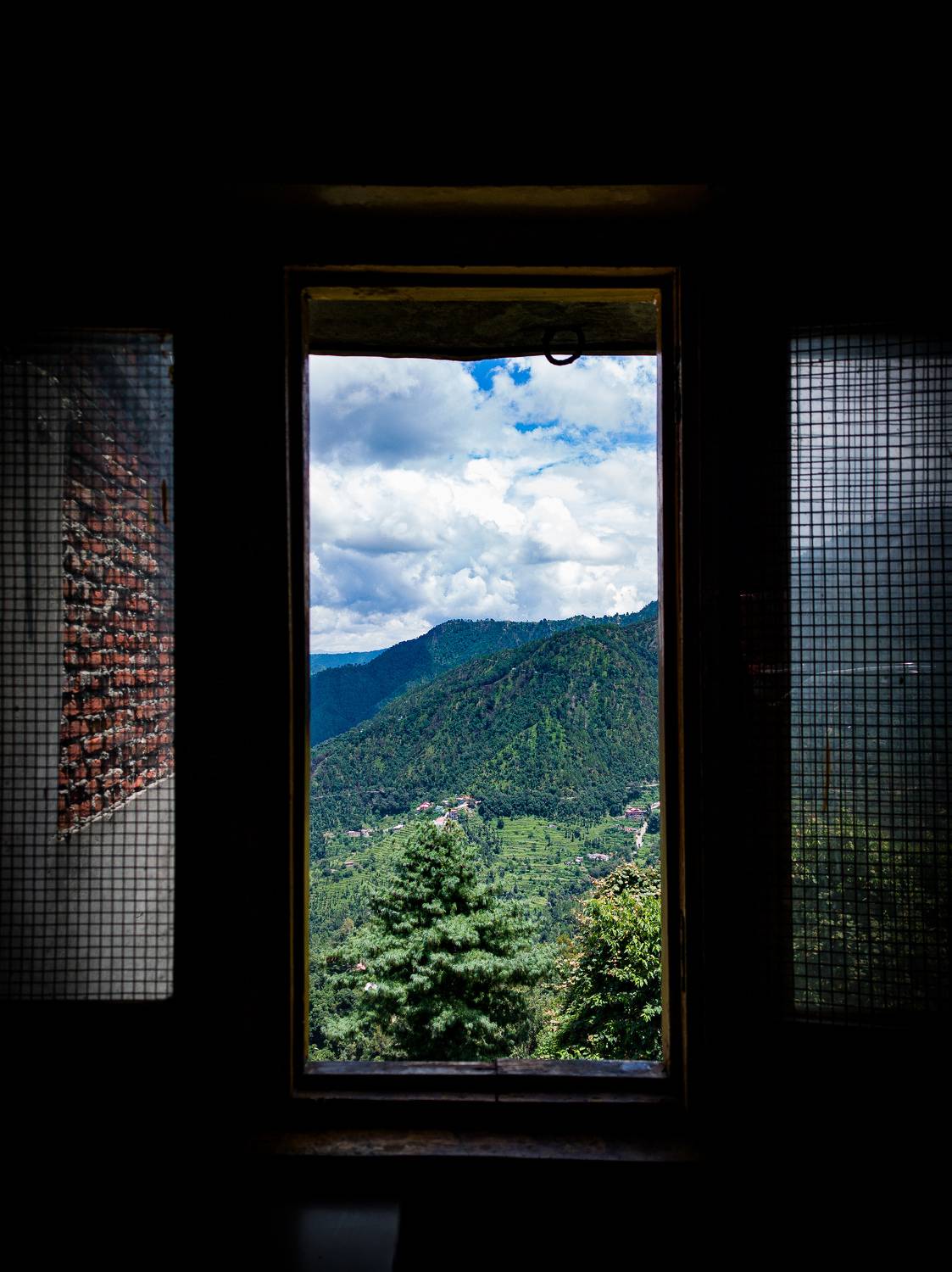 Behind the window