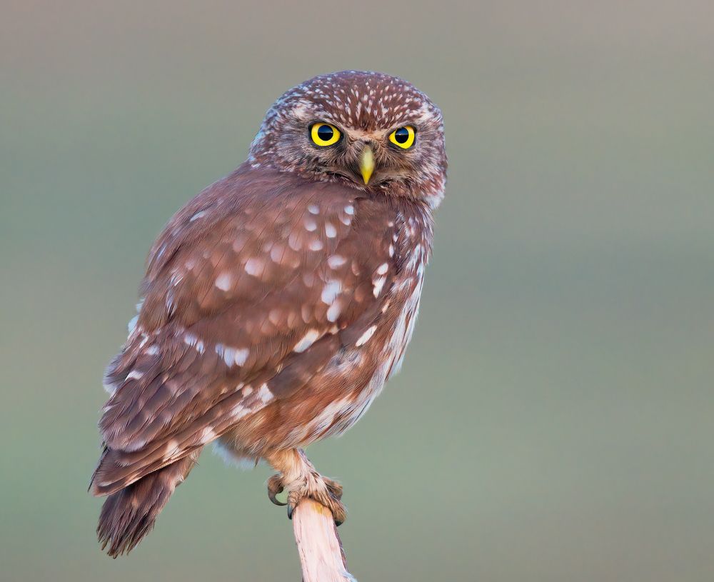 Photograph by Alexander Plekhanov