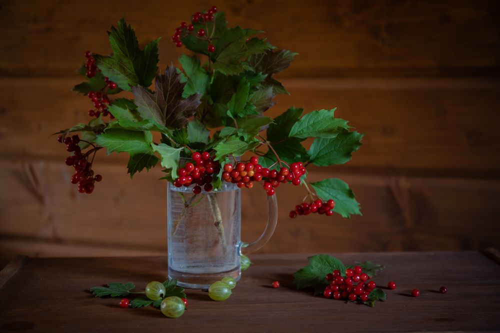 Photograph by Сергей Романченко