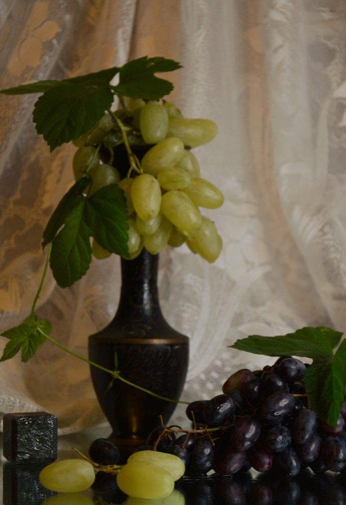 Photograph by Ольга Шевцова