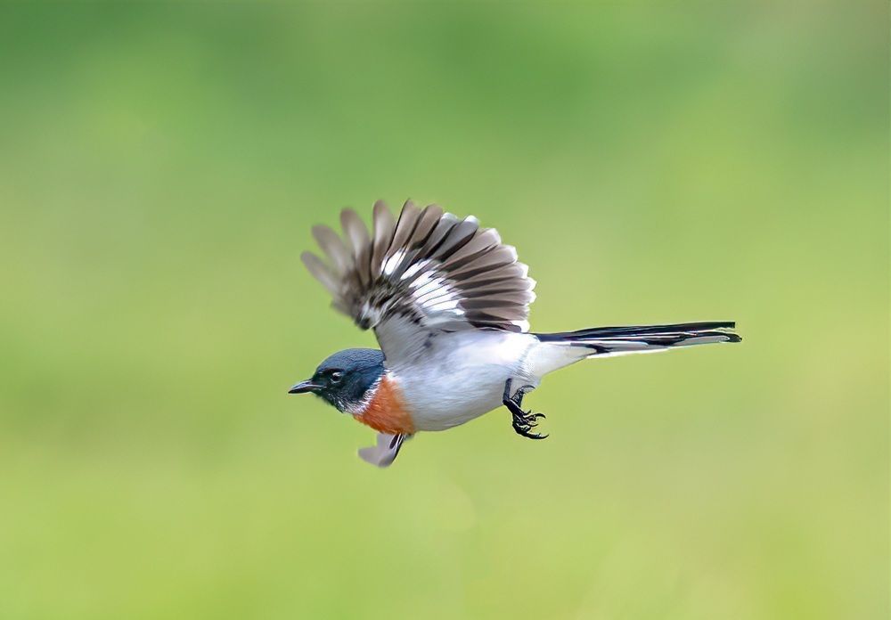 Photograph by Yogesh Divekar