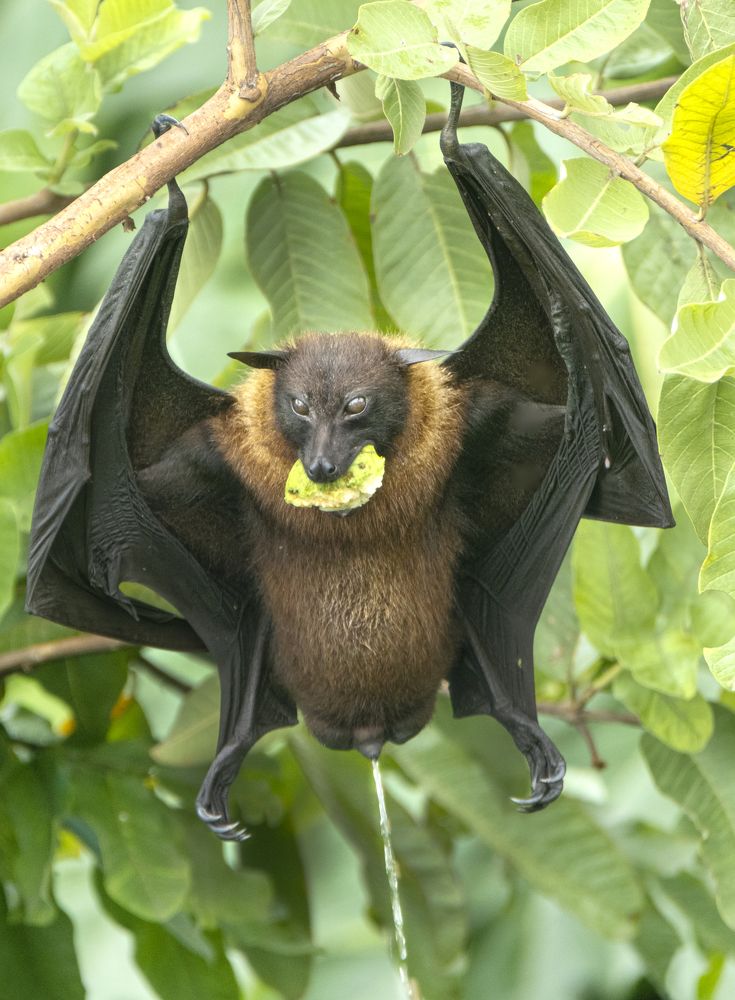 Photograph by Yogesh Divekar