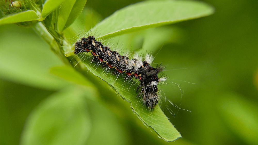 Photograph by Алексей Чернов