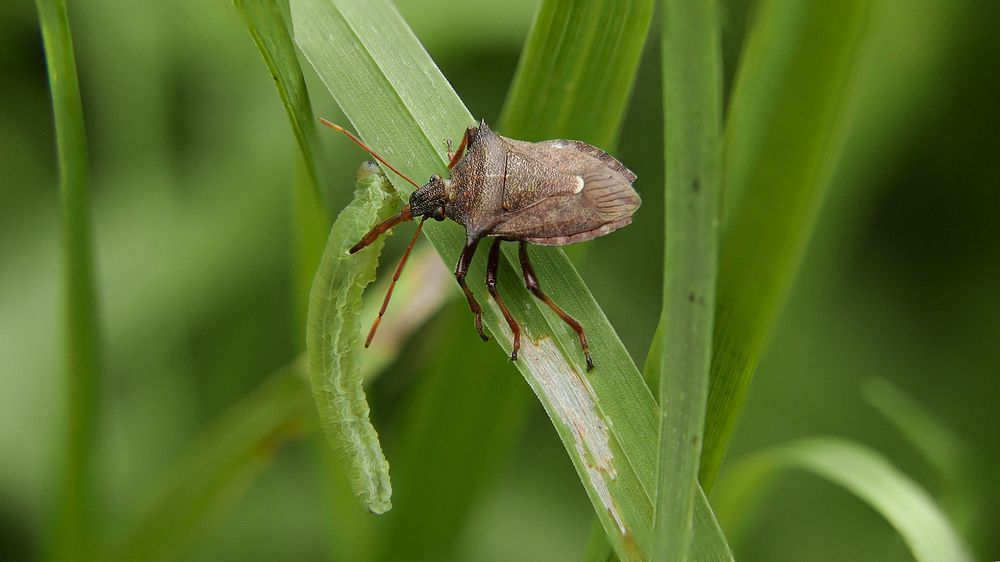 Photograph by Алексей Чернов
