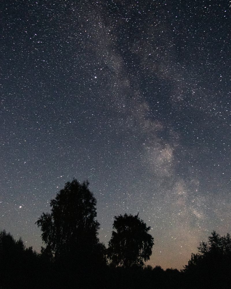 Photograph by Антон Синица