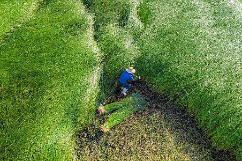 Photograph by Van Nguyen