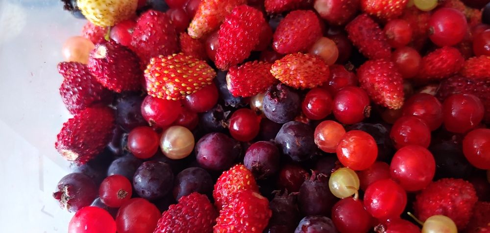 Photograph by Elena Chandran