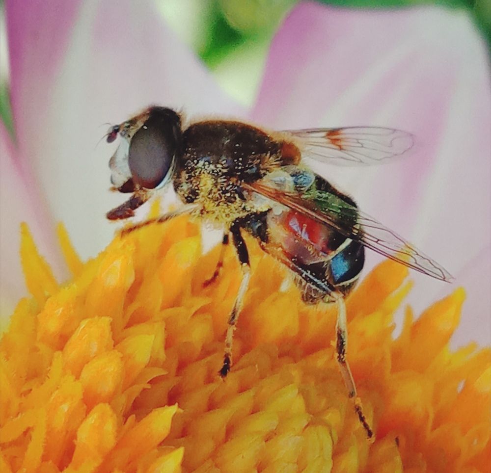 Photograph by Виталий Першин