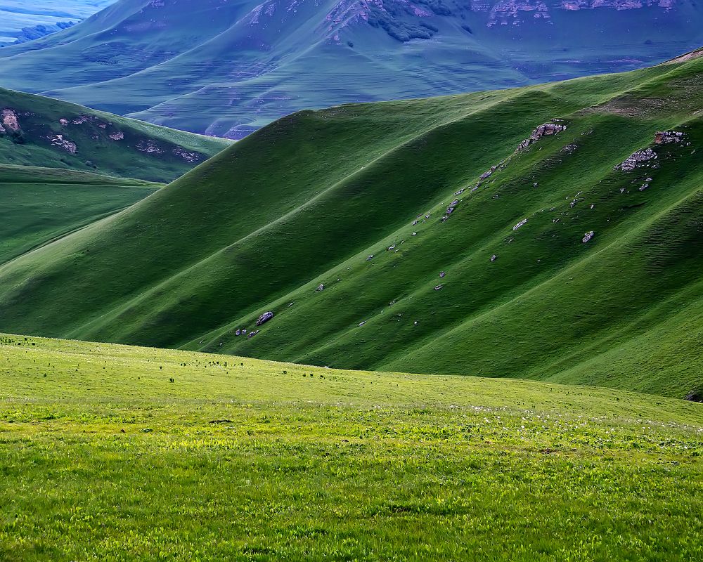 Photograph by Виталий Павлов