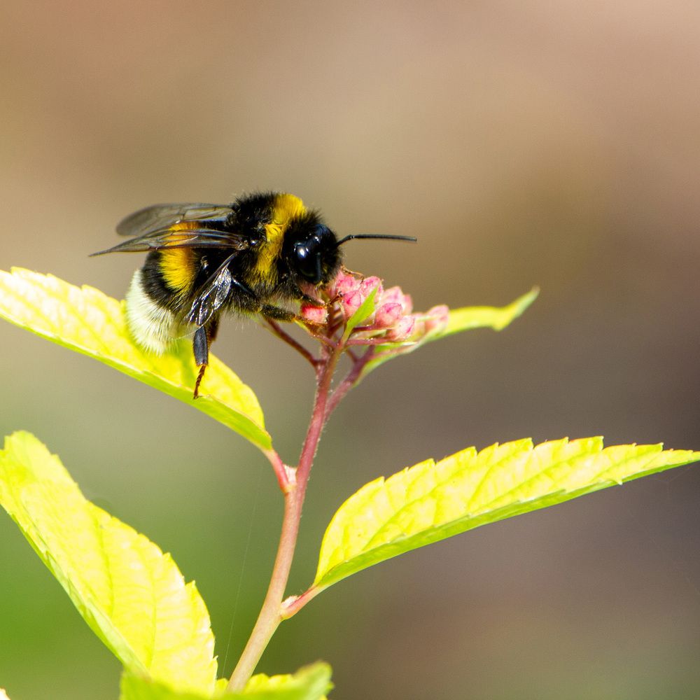 Photograph by Сергей Маркелов