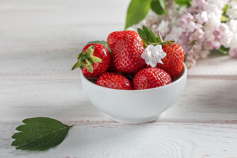 Фотография автора Наталья Филиппова