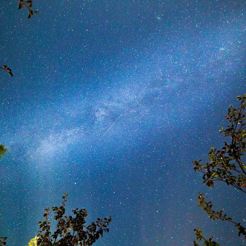 Photograph by Шувалова Мария