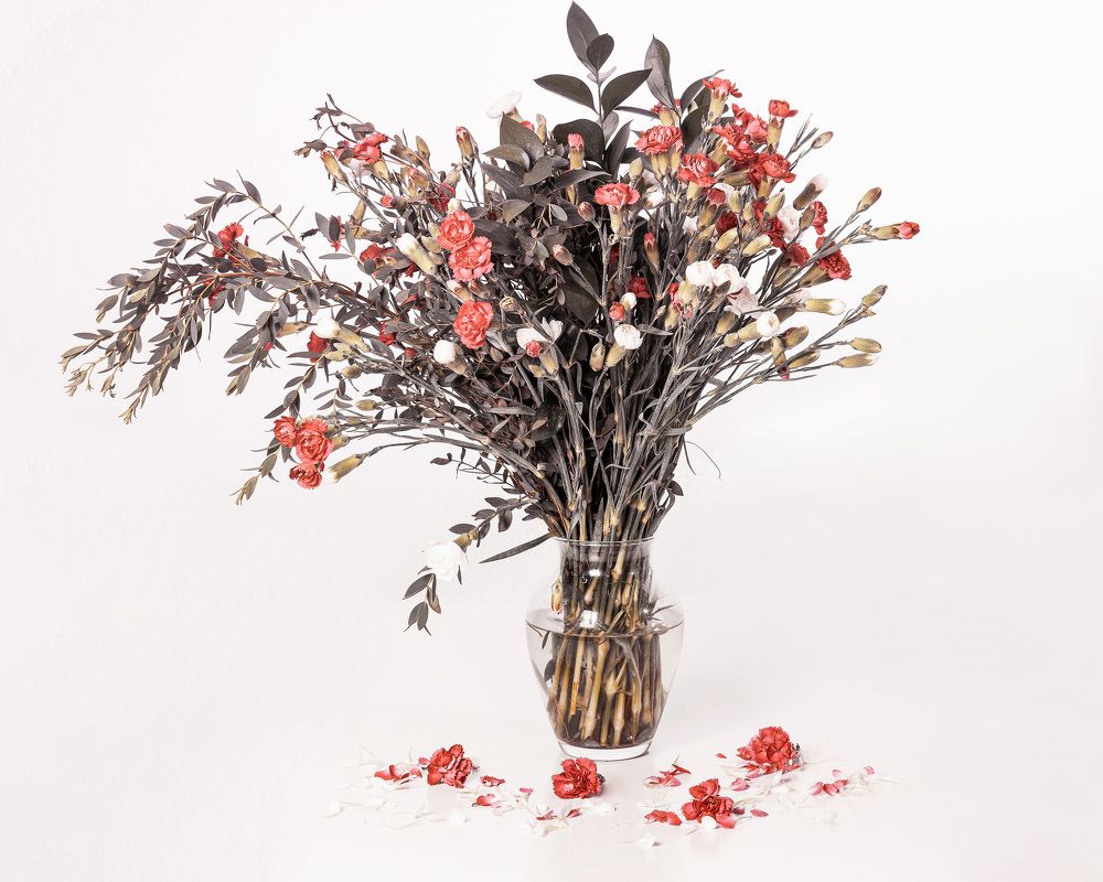 Photograph by Maxim Pilipenko