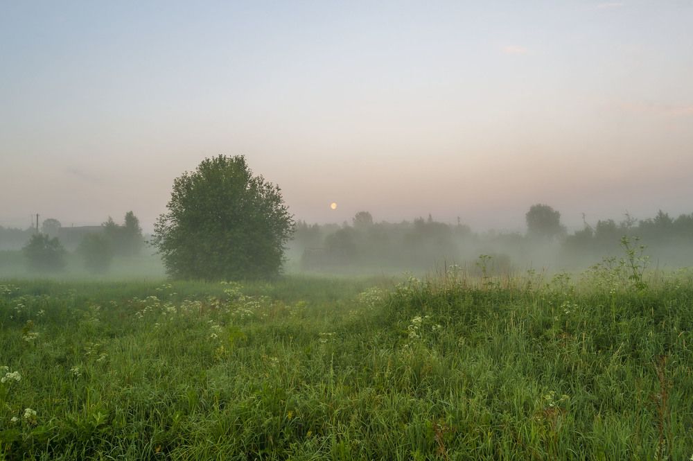 Утро в Шондовичах.